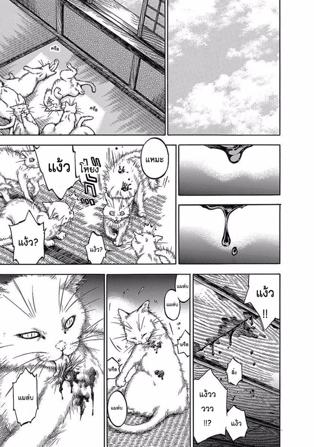 Ateya no Tsubaki 92 21